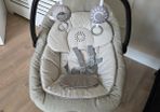 Joie Serina 2in1 Swing/Rocker