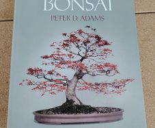 The Art of Bonsai Hardback (1981 True First Edition) - Peter D. Adams - Ward Lock