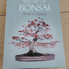 The Art of Bonsai Hardback (1981 True First Edition) - Peter D. Adams - Ward Lock
