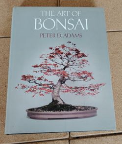 The Art of Bonsai Hardback (1981 True First Edition) - Peter D. Adams - Ward Lock