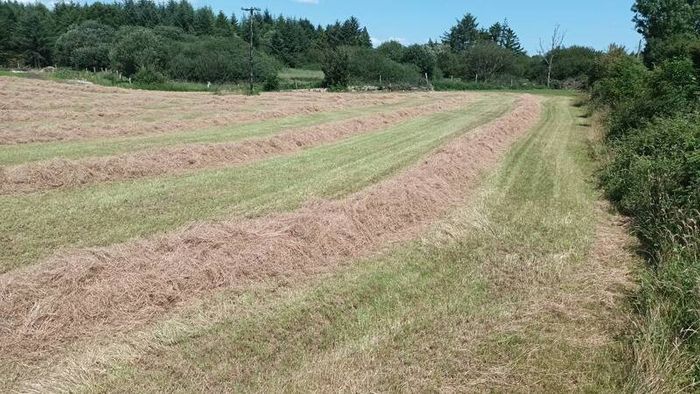 Round Hay Bales