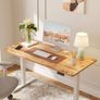 100 x 60cm Sit Stand Electric Home Office Desk with Memory Smart Pannel Image 9