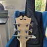 D"Angelico Premier DC Champagne Image 9
