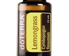 Essential Oil - Lemongrass 2ml