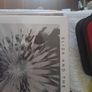 Vinyl.Eliza And The Bear. Image 5