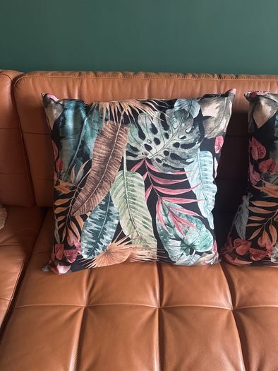 Cushions x 2