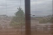 Wooden  blinds