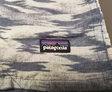Patagonia shorts