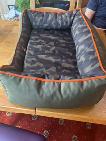 Dogs Bed