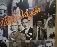 Little Dragon - Ritual Union.