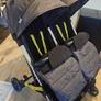 Double Buggy Image 10
