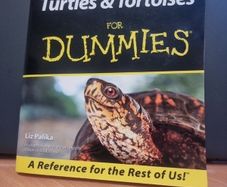 Turtles and Tortoises For Dummies by Liz Palika