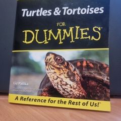 Turtles and Tortoises For Dummies by Liz Palika