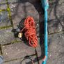 Leaf blower Image 4