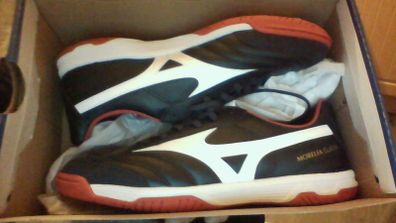astro turf Mizuno Morelia Sala Classic IN - size 9