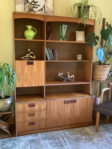 Mid century modern wall unit / storage display unit