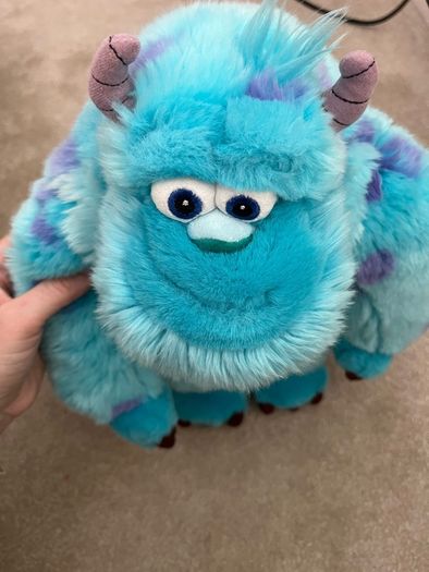 Sully Teddy