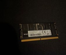 ram