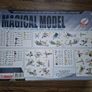 Magical Model: Build & Play (BNIB) Image 2