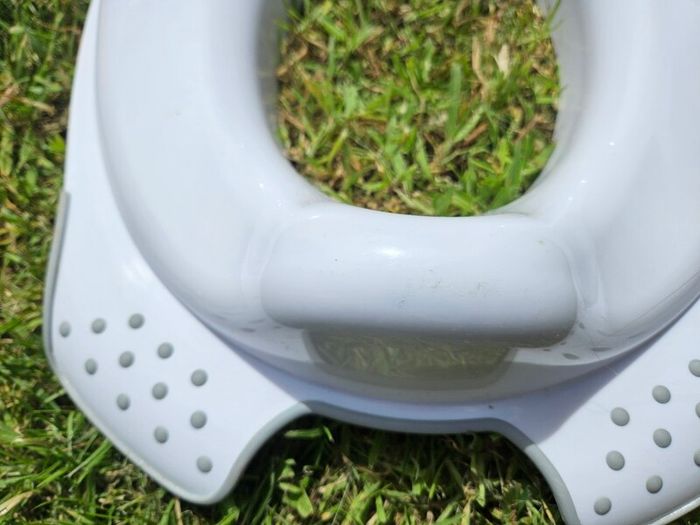 toddler toilet seat and step