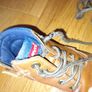 Boys High Tops from Levis Image 2