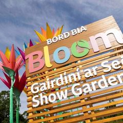 Bloom Festival 2026