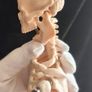 mini human anatomical skeleton model Image 3