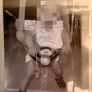 Tigger Door Swing Image 8