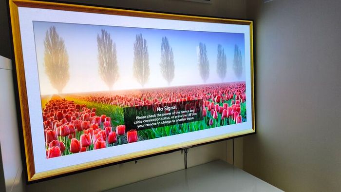 Lg 55 Oled Tv 4k Uhd