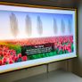 Lg 55 Oled Tv 4k Uhd Image 3