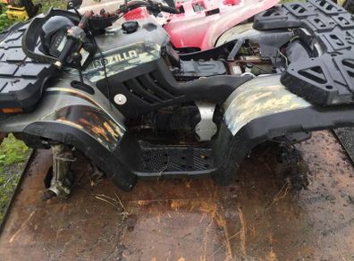 Quadzilla Linhai 260 4wd For Breaking