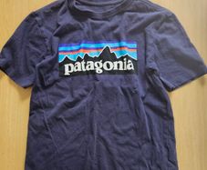 Boys Patagonia t-shirt