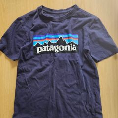 Boys Patagonia t-shirt