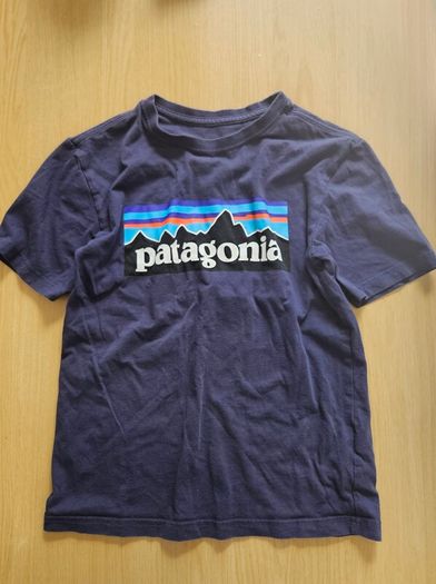 Boys Patagonia t-shirt