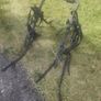 Bike Rack Image 3