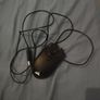 Corsair Harpoon RGB Pro Gaming Mouse Image 3