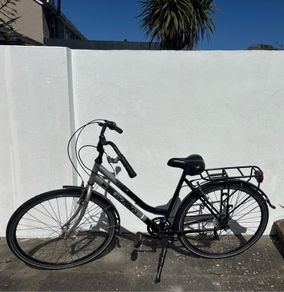 ladies bike