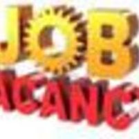 suzannehoza Jobs in Ireland