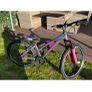 Girls Bicycle Image 2