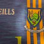 Wicklow GAA O'Neills Gaelic Football Jersey (Youths 7-8 Years) FREE POST Image 3