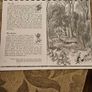 29 ink drawings of various tree species by artist S. R. Badmin. It's in binder form with 29 description of each of the  trees. See photos for same. Image 5