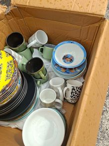 free dinner plates n cups