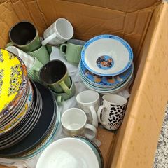 free dinner plates n cups