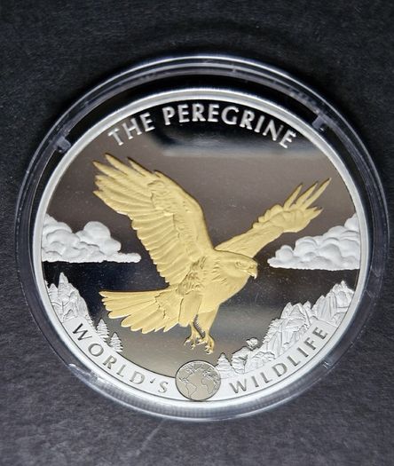 Wildlife 1 oz silver The PEREGRINE FALCON 2024 Congo 20 Fr Gold Gilded coin