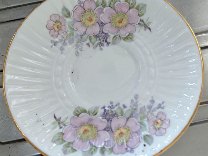 Aloe Vera in Tara fine China cup and saucer