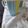 Picnic crockery festival gear Image 4