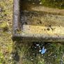 Large Trough Image 6