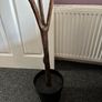 artificial tree Image 3
