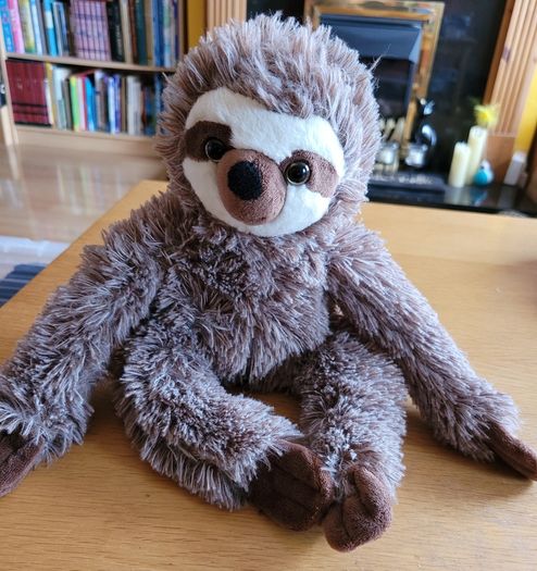 Cute Sloth teddy