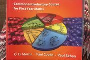 Project maths Text&amp;Tests1
